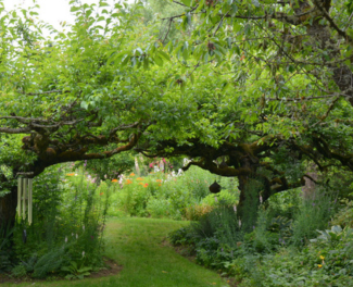 Olympia Garden