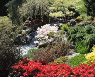 Olympia Garden 3