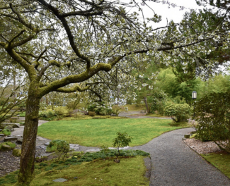 Olympia garden 2